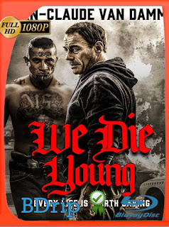 We Die Young (2019) BDRip [1080p] Latino [GoogleDrive] SXGO