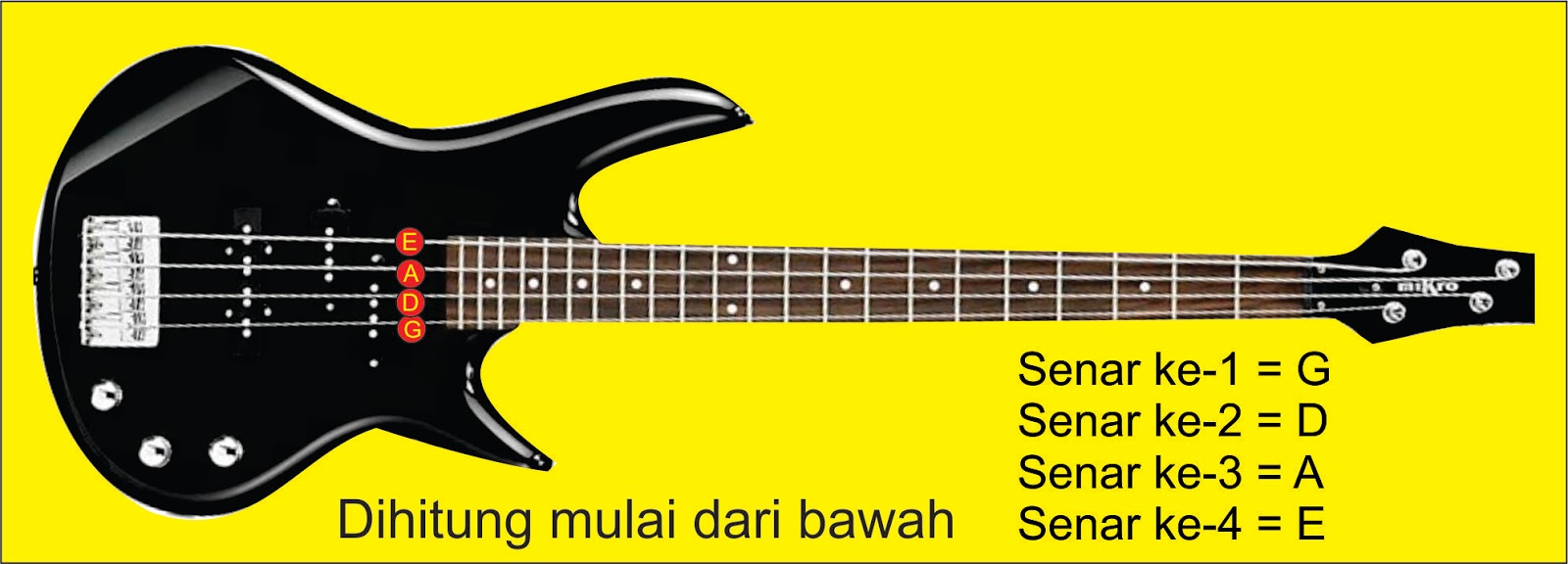 Cara Stem Gitar Bas Elektrik SEPUTAR MUSIK