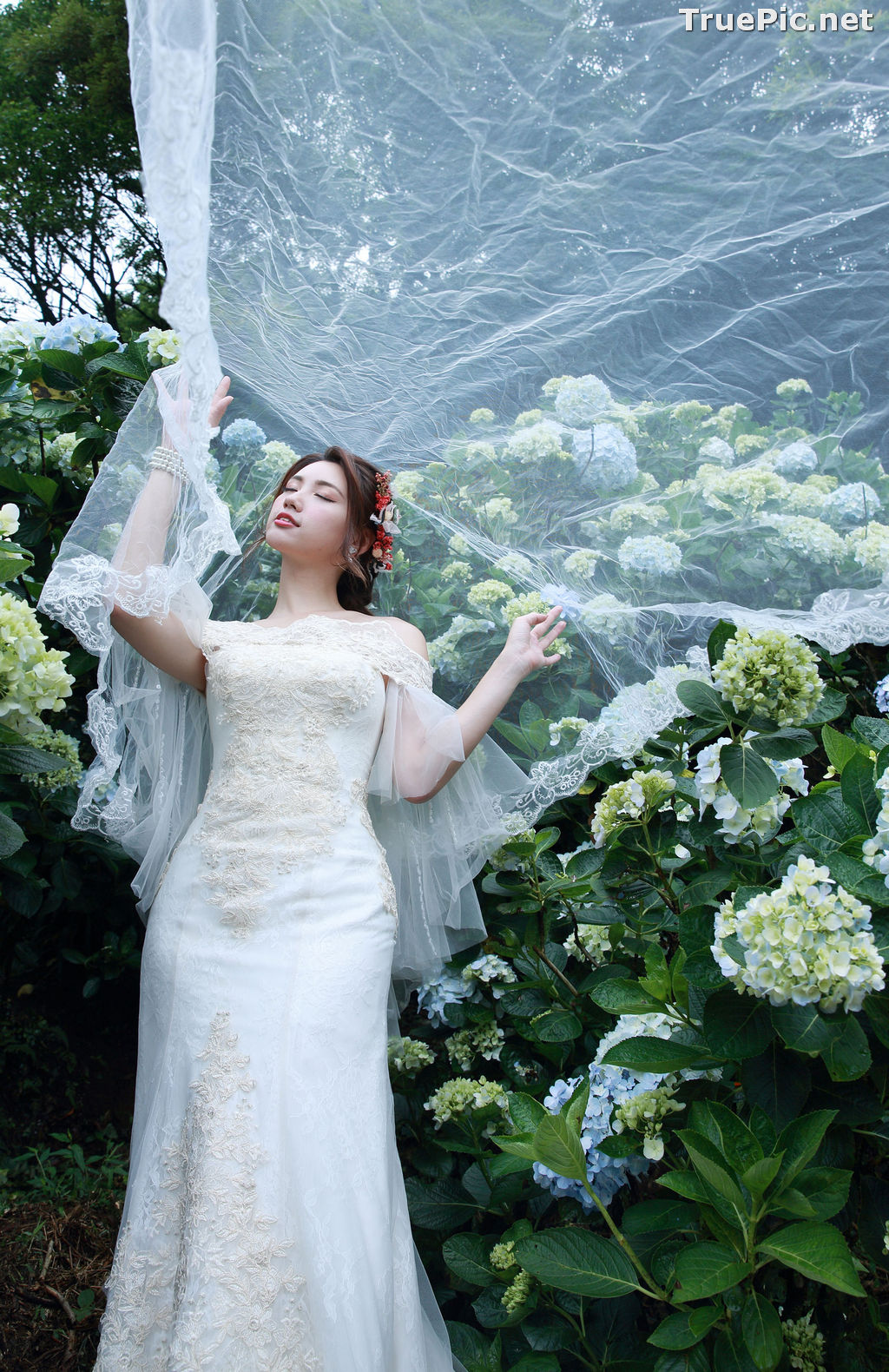 Image Taiwanese Model - 張倫甄 - Beautiful Bride and Hydrangea Flowers - TruePic.net - Picture-27