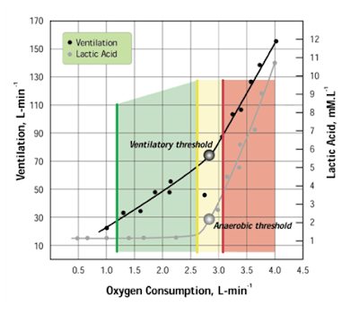 VT versus LT