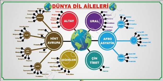 dunya dilleri ve turkce beyoglu akademi dunya dilleri ve turkce beyoglu akademi
