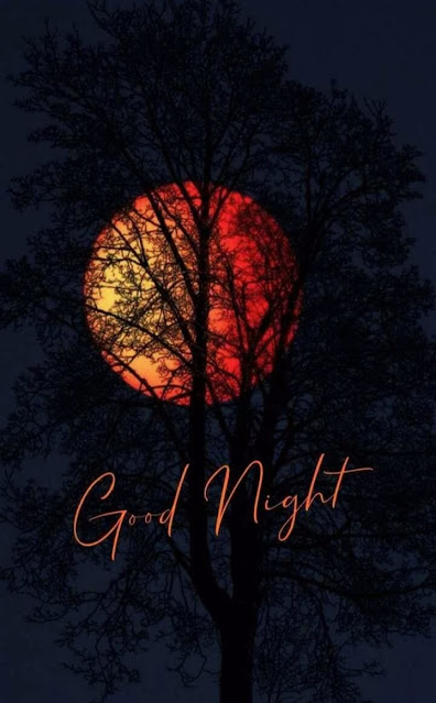 Latest Good Night Images Download For Whatsapp