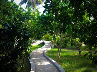 Winding Walkway In The Middle Of Fresh Trees And Leaves Of The Garden At The Village Tangguwisia North Bali Indonesia