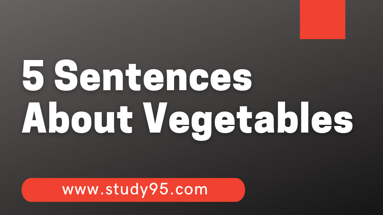 Few Sentences About Vegetables