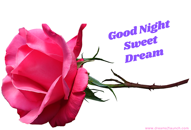 good night with rose good night with rose