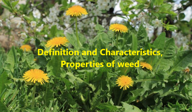 Definition and Characteristics of weeds