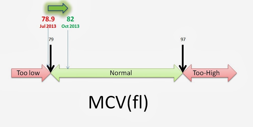 what is mcv on blood test results what is mcv on blood test results