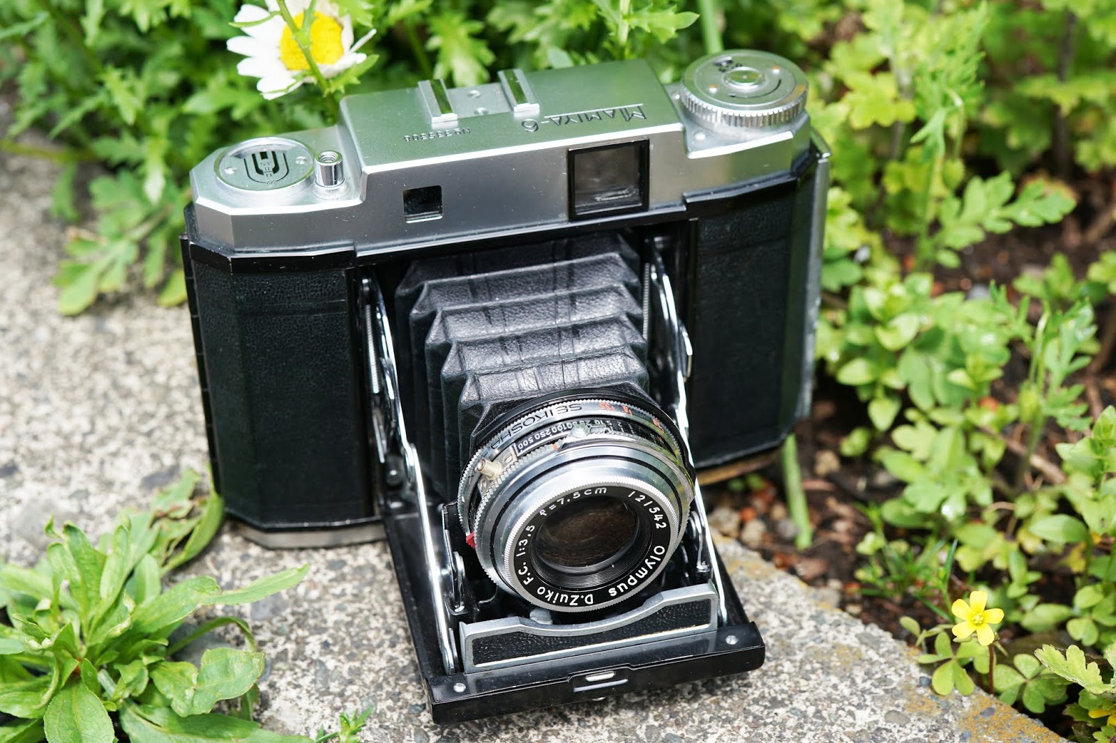 マミヤシックス　昭和　レトロ　ビンテージ　フィルム マミヤシックス 昭和 レトロ ビンテージ フィルム