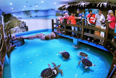 The Shore Oceanarium