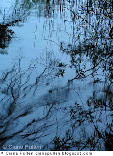 Photograph of black silhouetted reeds reflected in blue rippling water