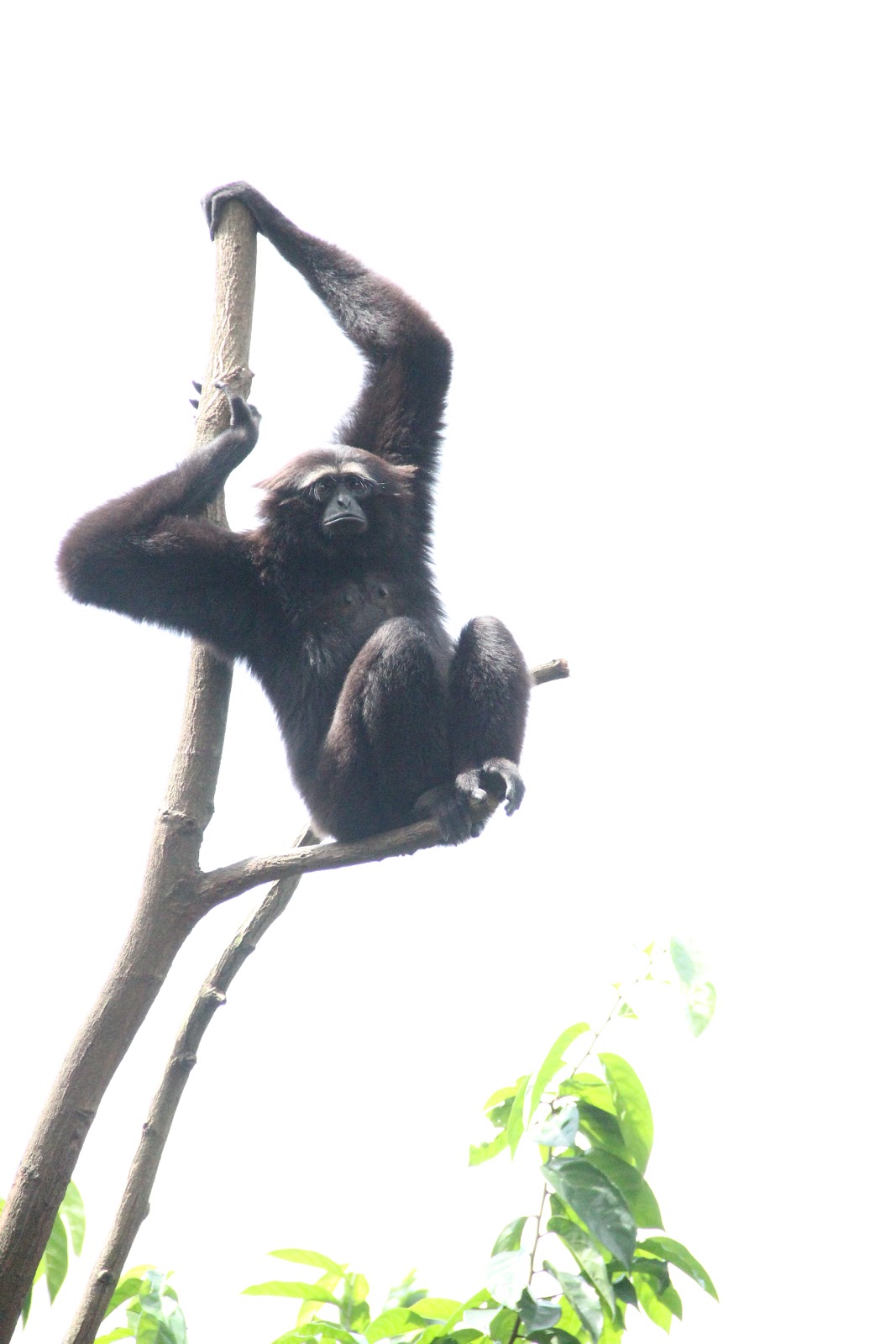 Letters From A Father To His Son October 2012