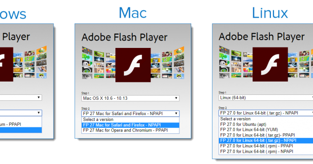 adobe flash player version 8 adobe flash player version 8