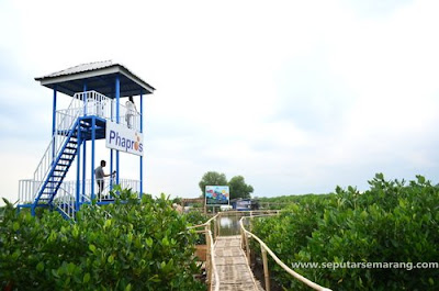 mangrove edu park semarang