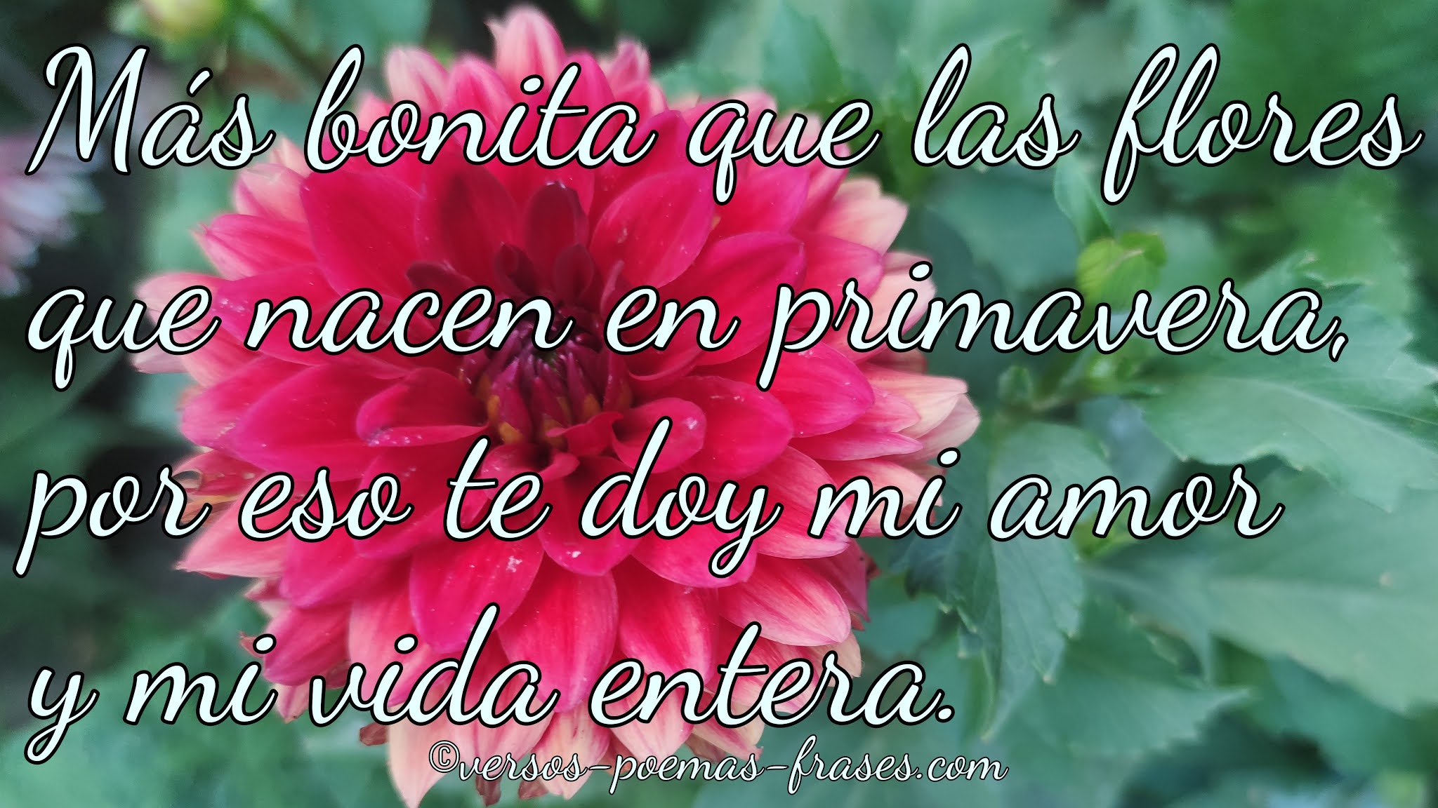 VERSOS Y POEMAS DE AMOR. POEMAS