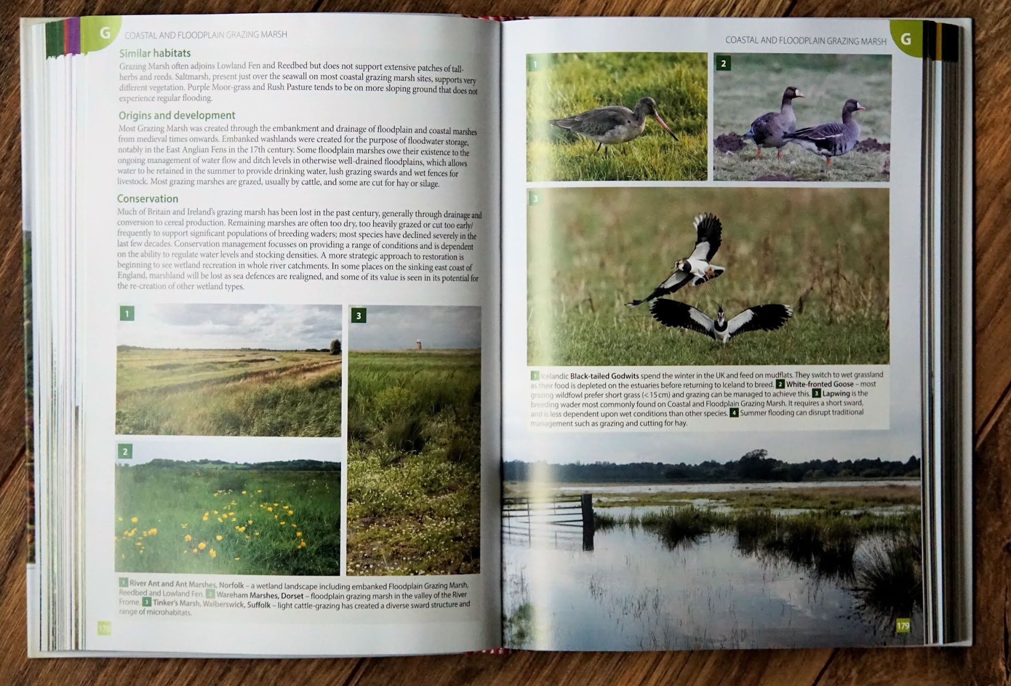 Another Bird Blog Review Britain’s Habitats