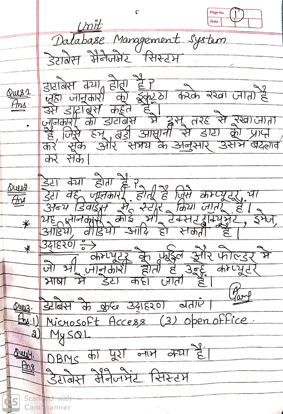 what is database in hindi notes