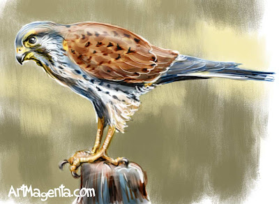 Tornfalken är en fågelmålning av ArtMagenta.