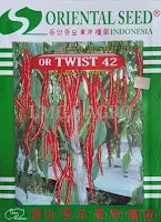 jual benih cabe or twist 42,cabe or twist 42,benih cabe,budidaya cabe,lmga agro