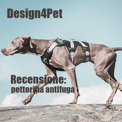 Design4Pet_recensione_pettorina antifuga