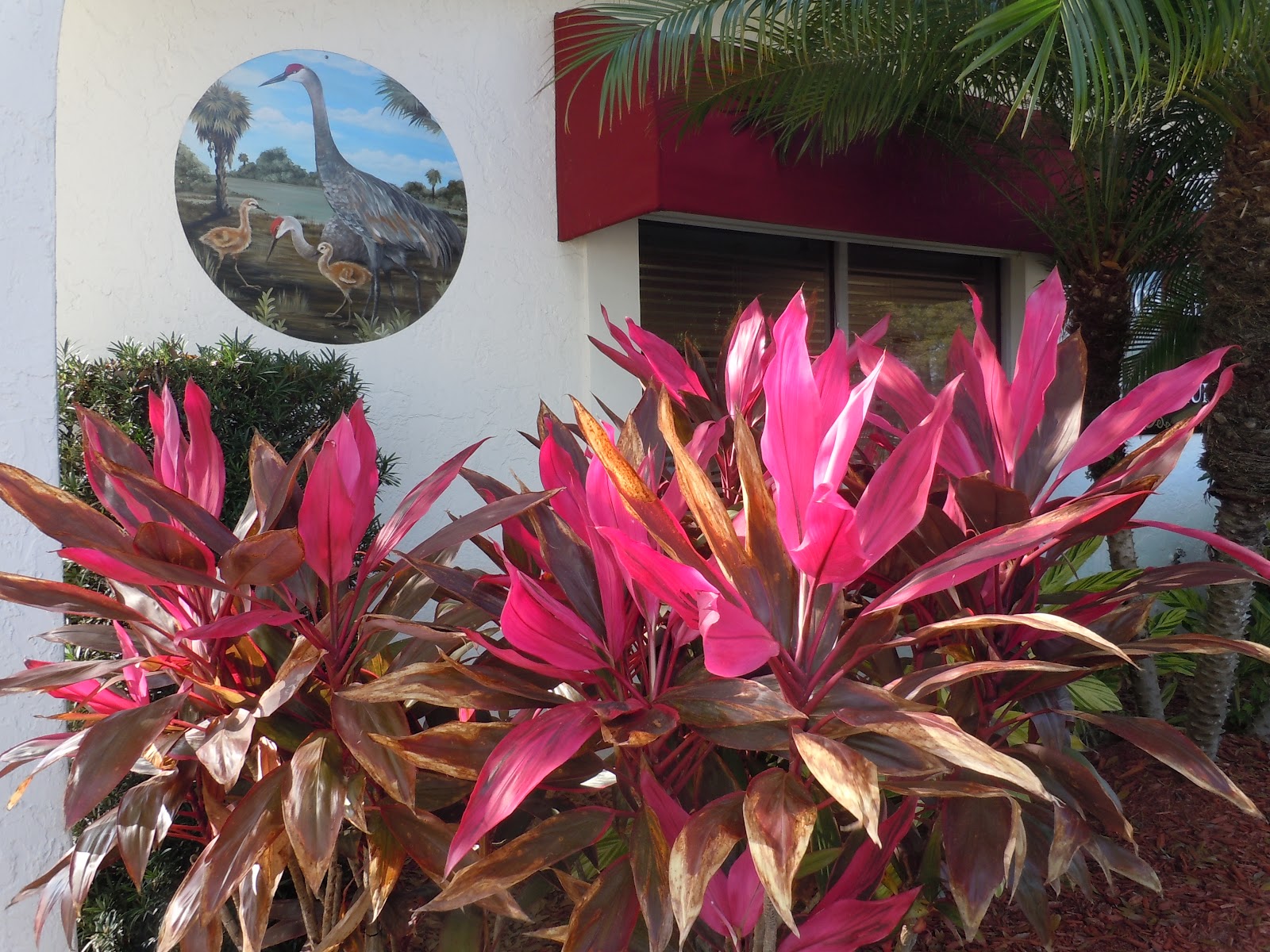 Jim & Kathy's RV Travels: Lake Placid, Florida