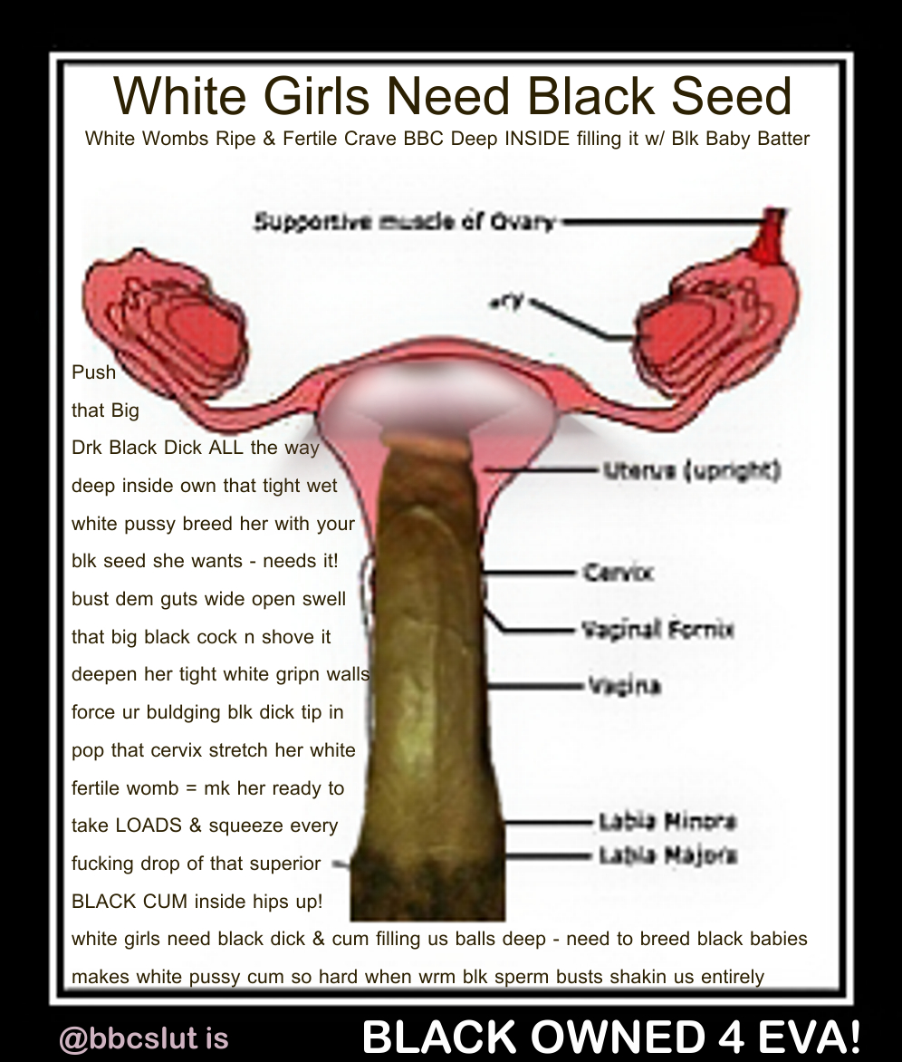 Pregnant By Black Seed Cumception