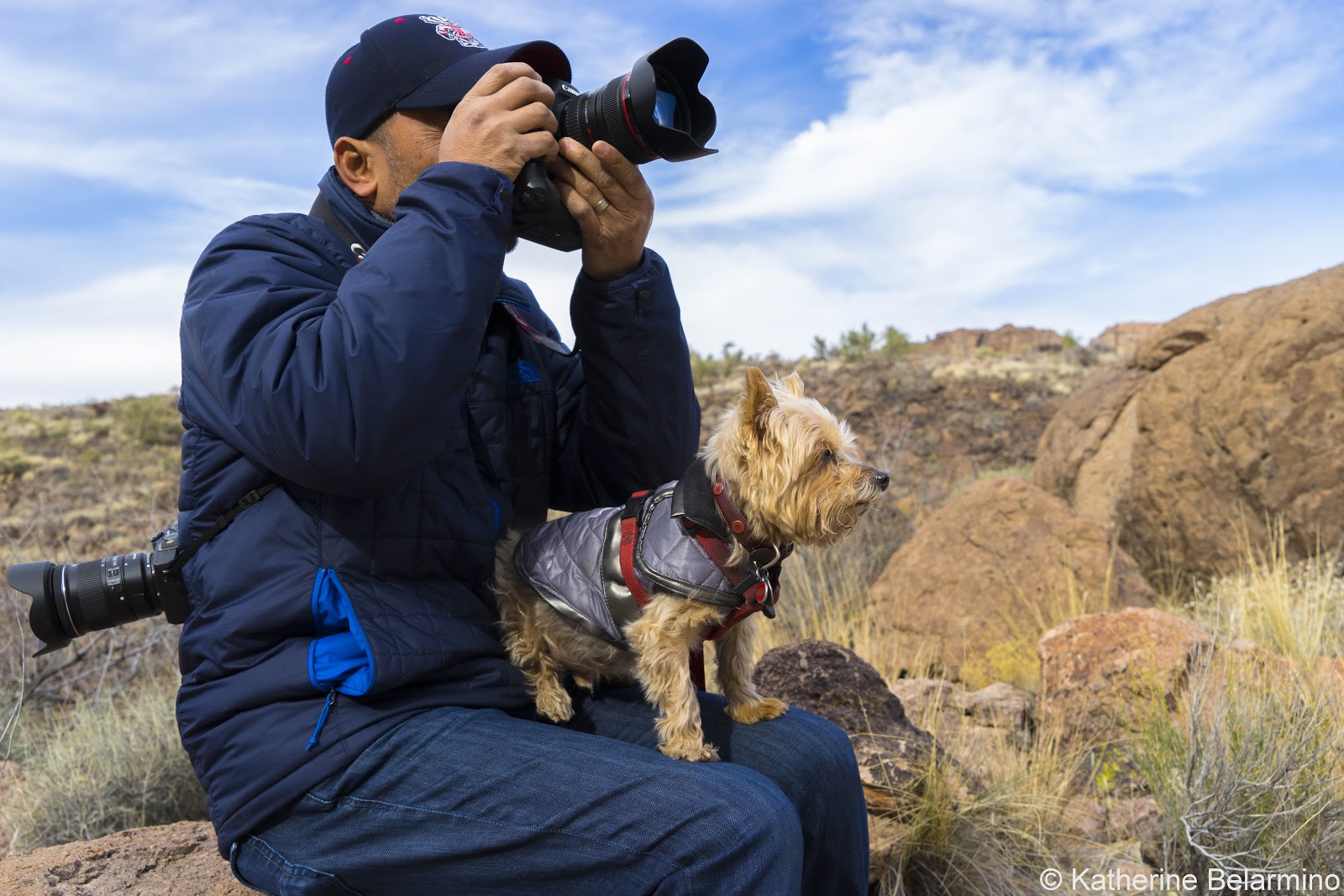 PetFriendly Vacations 10 Tips for Traveling with Dogs Travel the World