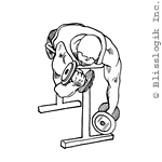 Bench Alternated Biceps Curl Bench Alternated Biceps Curl