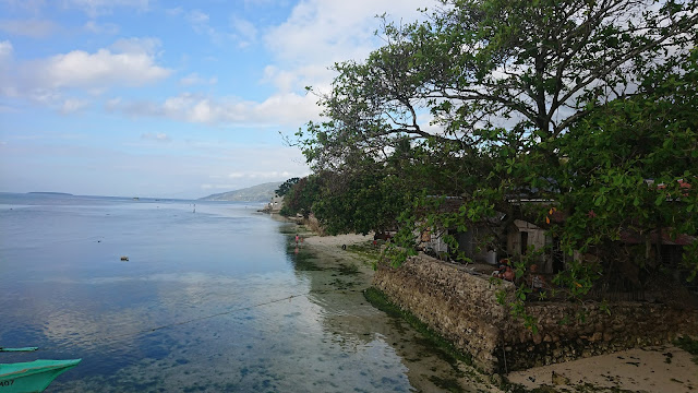 Как крымчане филиппинились: Боракай и Себу -Белый песок на Белом пляже, гигантские ракушки и китовые акулы