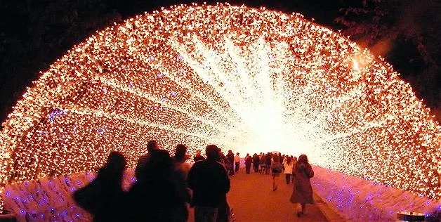 Japan's Winter Lights Festival