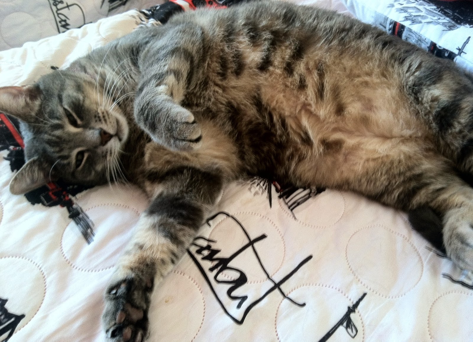 yine yeni bir başlangıç&hellip; kısa bir Tarabya sahili molası&hellip;