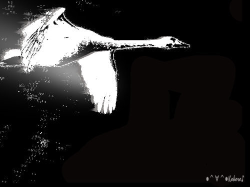 2009年に制作。イラスト化された画像。真っ暗な空を白い鶴が飛んでる映像。