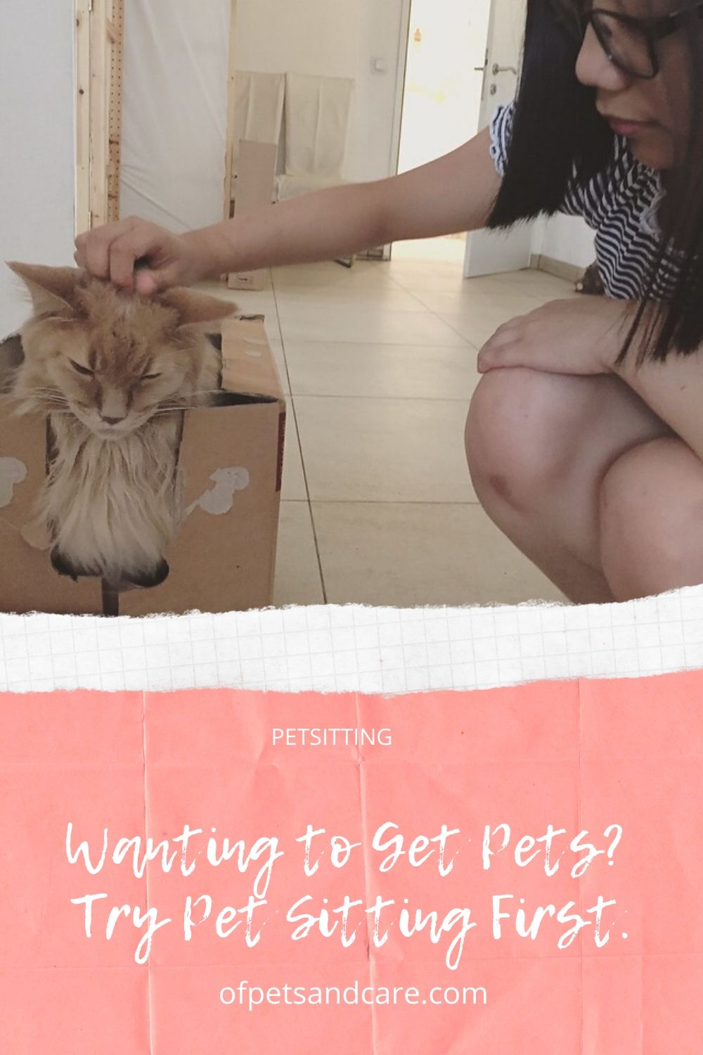 Wanting to Get Pets? Try Pet Sitting First.