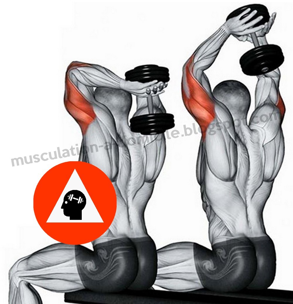 EXERCICES MUSCULATION TRICEPS