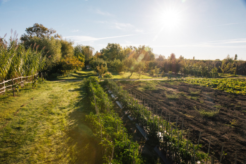 Weekday Wanderlust: A Few Addresses to Bookmark in Provence