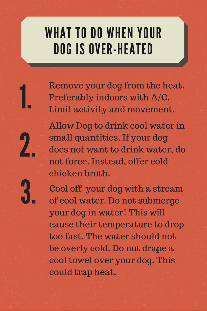 Dog Heat Stroke Chart
