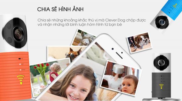 Camera IP Clever dog DOG-1W