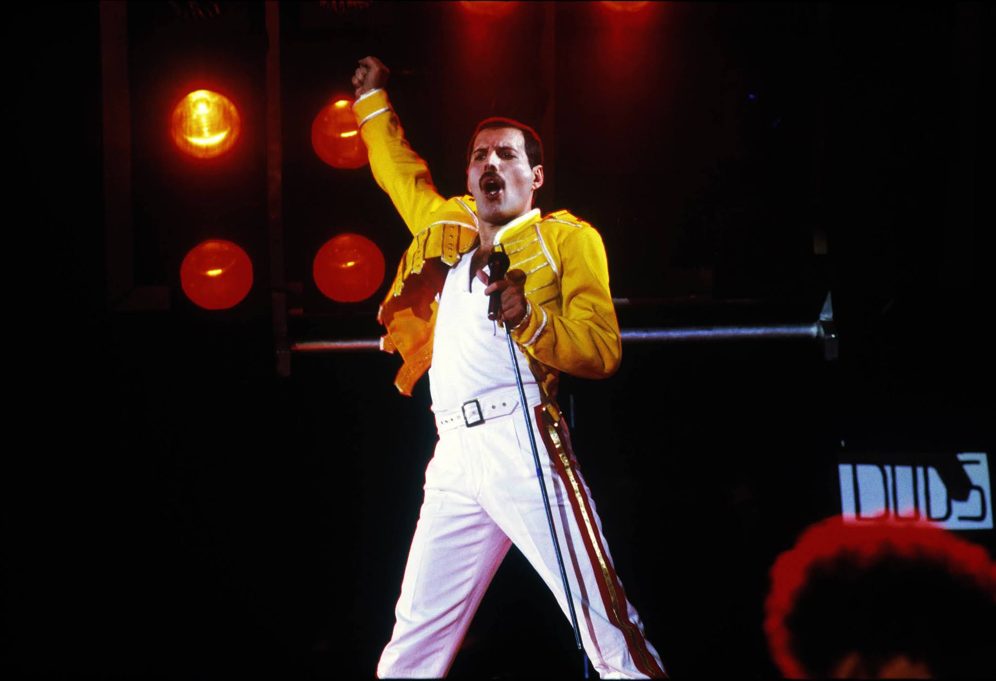 Freddie Mercury 2