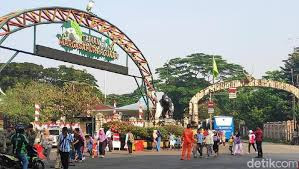 bersepeda gowes di kebun binatang ragunan nurul sufitri travel lifestyle blogger panasonic bianchi