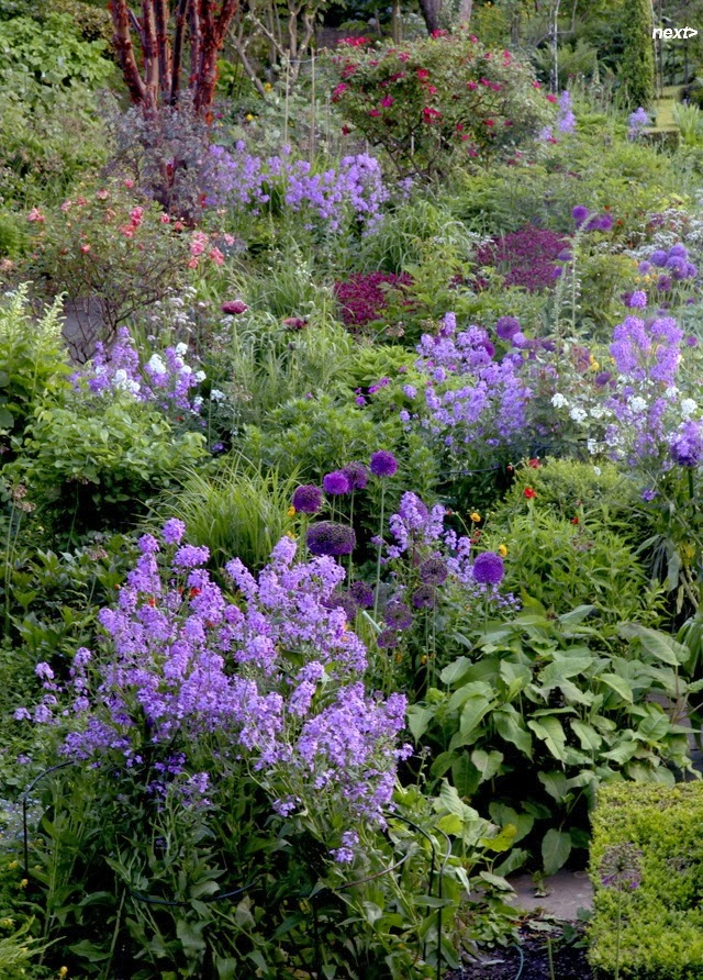 My Enchanting Cottage Garden 7 Steps To Creating A Quaint English
