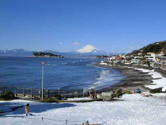 �����̐�i�F