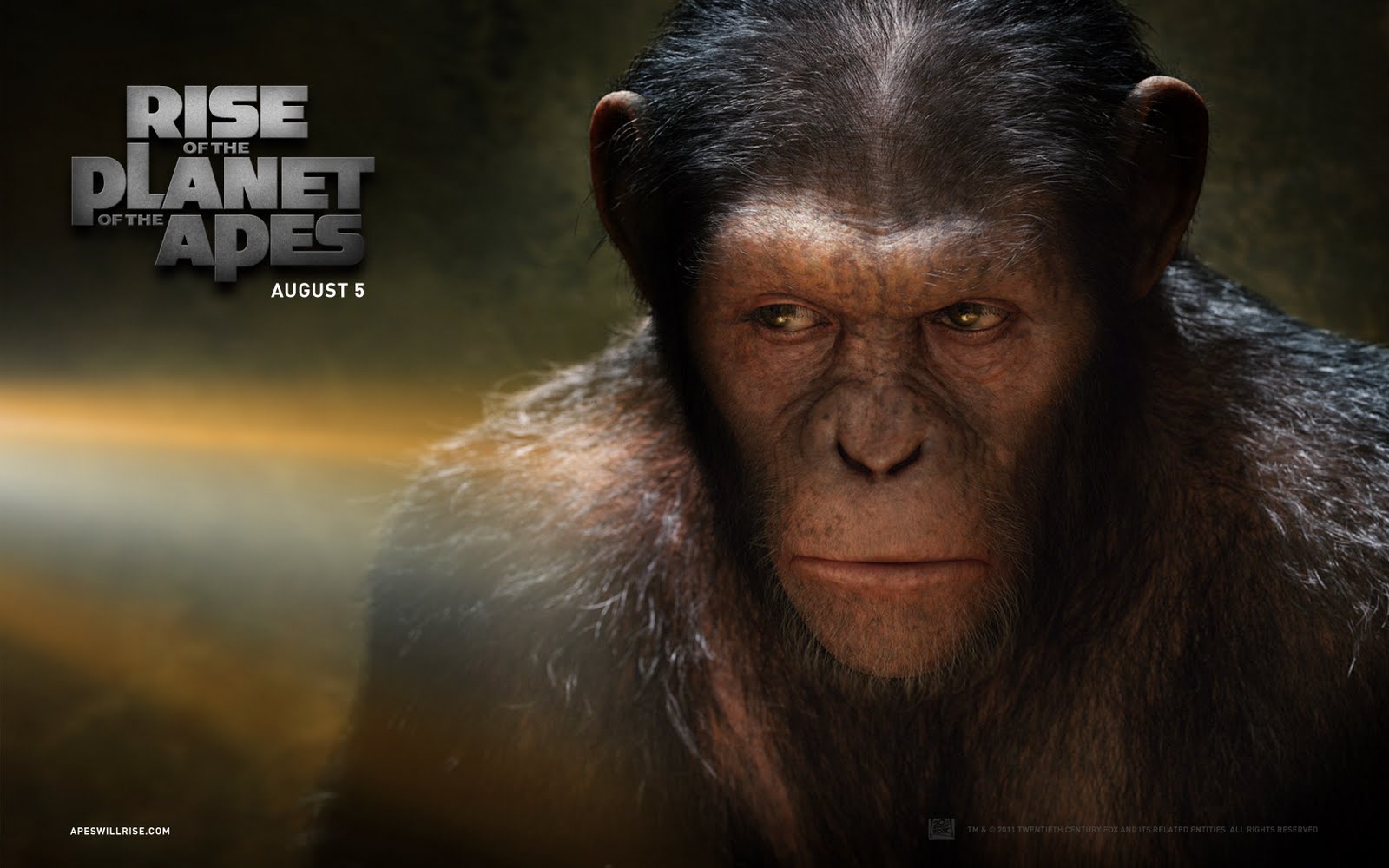 http://1.bp.blogspot.com/-qQCHuhLnvM0/TmN2eRSkjBI/AAAAAAAABHg/0BjORqB17uk/s1600/Rise-of-the-Planet-of-the-Apes-Wallpapers-2.jpg