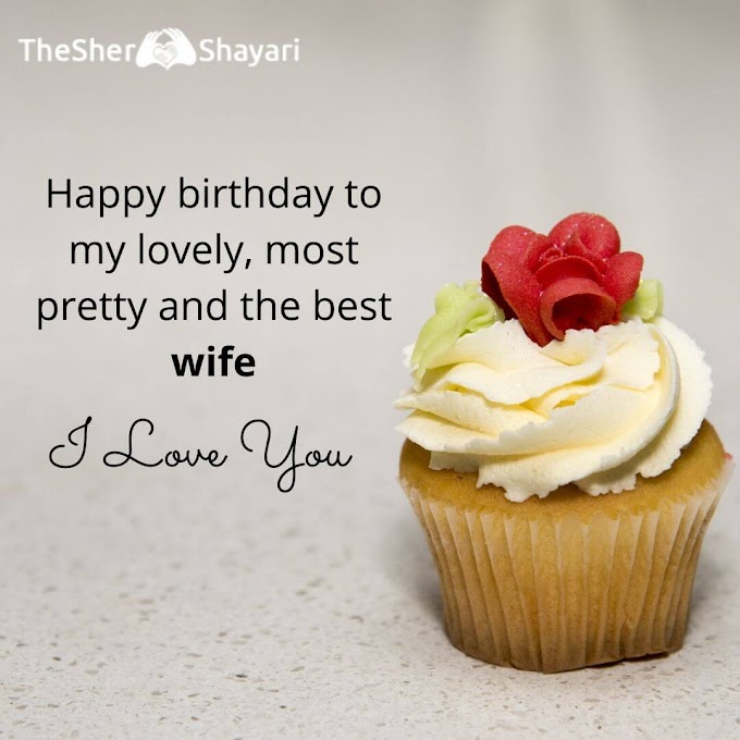 500 Specail Happy Birthday Wishes Status For Wife In English