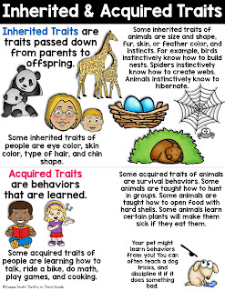 Inheritance and Variations of Traits: Life Cycles and Traits 3rd Grade