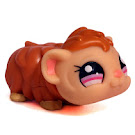 Littlest Pet Shop Multi Pack Guinea Pig (#1741) Pet