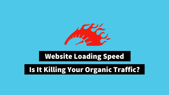 Website Speed and SEO How website speed affect SEO?