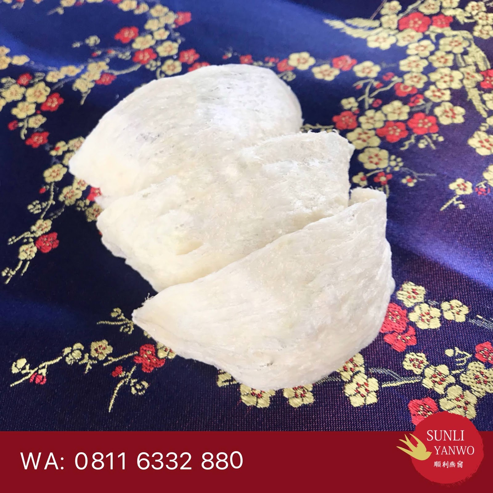 Wa 0811 6332 880 Jual Sarang Burung Walet Gold