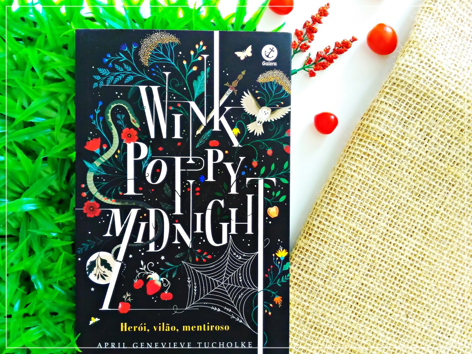 wink poppy midnight wink poppy midnight