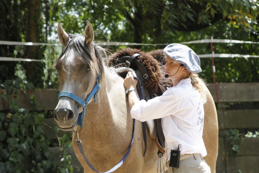 The Beret Project Natural Horse Handlers