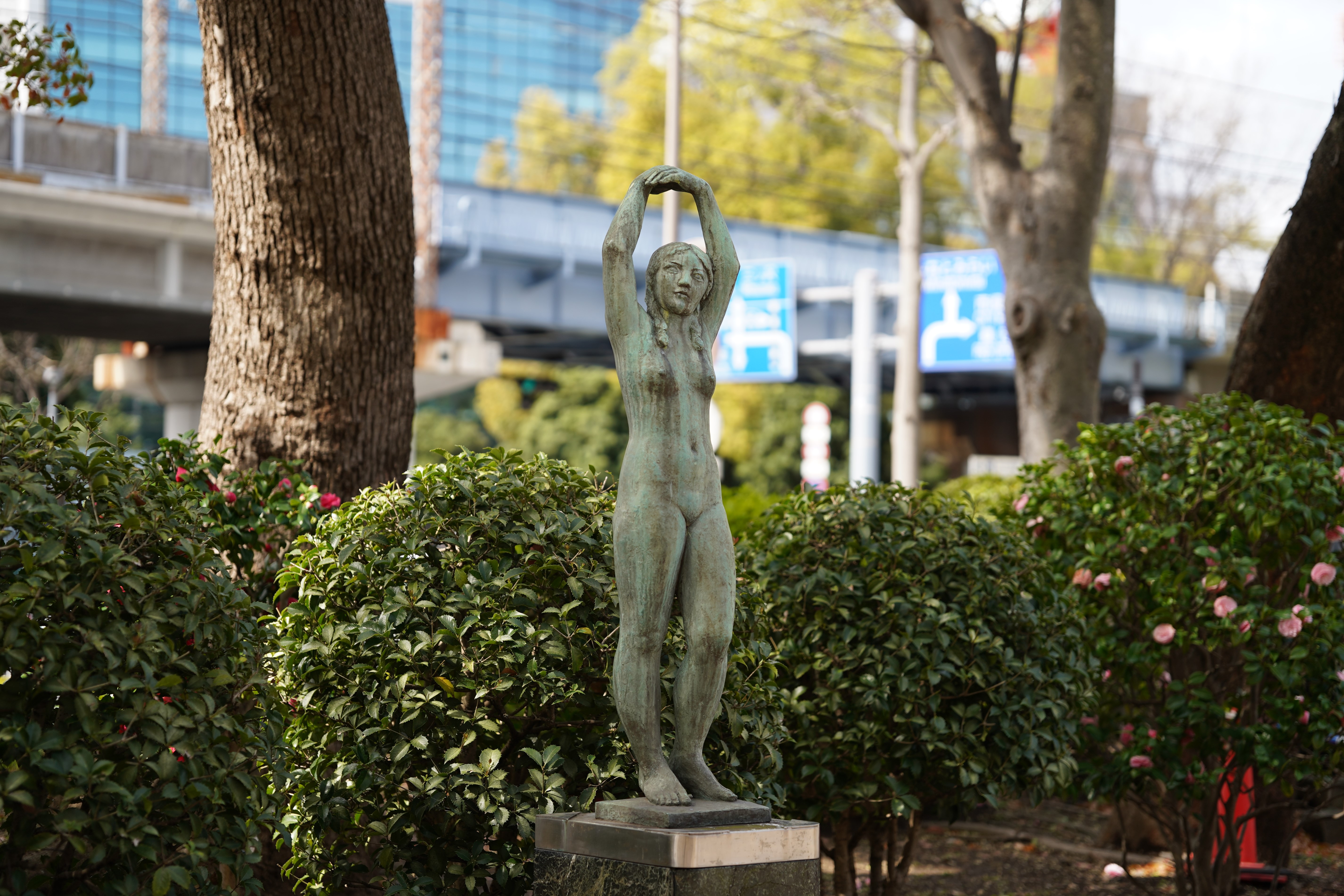 DSC04034.JPG