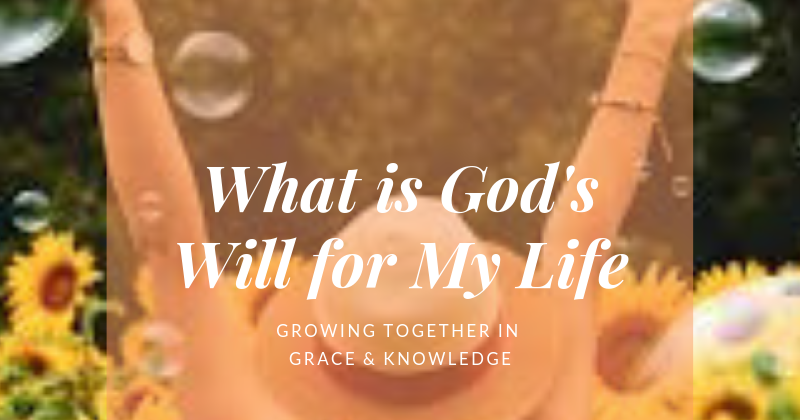 Grace through faith meaning picture